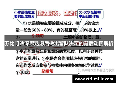 苏比门迪深思熟虑后做出留队决定的背后动因解析 苏比门迪深思熟虑后做出留队决定的背后动因解析