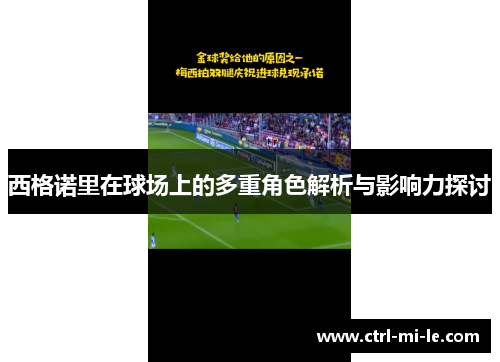 西格诺里在球场上的多重角色解析与影响力探讨