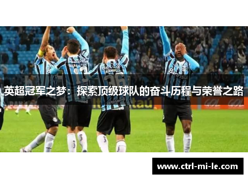 英超冠军之梦：探索顶级球队的奋斗历程与荣誉之路